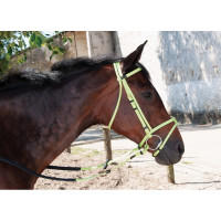 Trensenzaum Biotack® T de T Hellblau