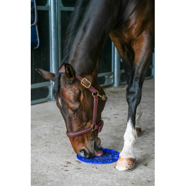 Leckmatte Likit Graze Maze Blau