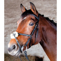 Trensenzaum Kessel T mit dreifachem Genickstück und Kreuznasenriemen Dunkles Havanna Braun Trensenzaum Kessel T mit dreifachem Genickstück und Kreuznasenriemen Dunkles Havanna Braun