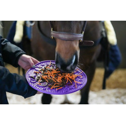 Leckmatte Likit Graze Maze Violett Lila