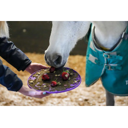 Leckmatte Likit Graze Maze Violett Lila