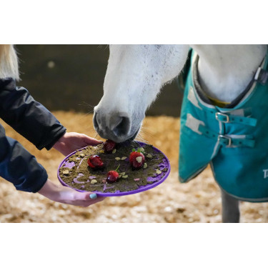 Leckmatte Likit Graze Maze Violett Lila