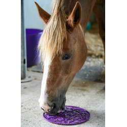 Leckmatte Likit Graze Maze Violett Lila