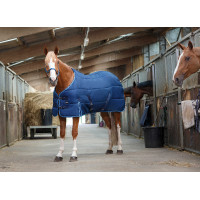 Stalldecke Riding World Marine / Himmelblau