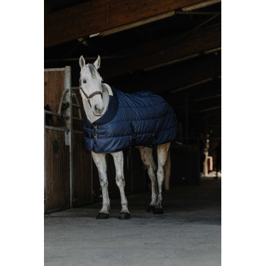 Stalldecke Equithème Confortech Stalldecke Equithème Confortech