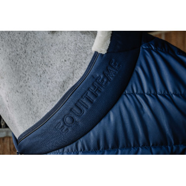 Stalldecke Equithème Confortech Stalldecke Equithème Confortech
