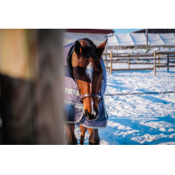 Equithème Tyrex 1200D recycelte Decke Maulwurf Braun