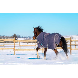 Equithème Tyrex 1200D recycelte Decke Maulwurf Braun