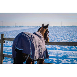 Equithème Tyrex 1200D recycelte Decke Maulwurf Braun