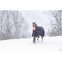 Wasserdichte Riding World Oxford-Decke mit Fleecefutter Schwarz Wasserdichte Riding World Oxford-Decke mit Fleecefutter Schwarz
