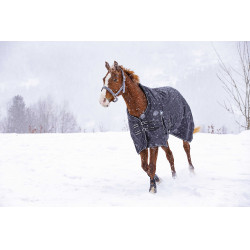Wasserdichte Riding World Oxford-Decke mit Fleecefutter Wasserdichte Riding World Oxford-Decke mit Fleecefutter