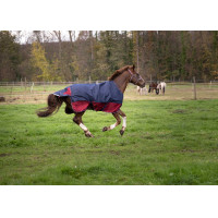 Equithème Tyrex 1200 D Decke / Transparent Equithème Tyrex 1200 D Decke / Transparent