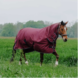 Equithème TYREX 1200D Combo Decke Bordeaux