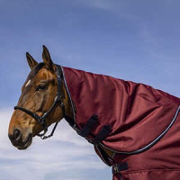 Halsschutz Equithème Tyrex 1200D Bordeaux Halsschutz Equithème Tyrex 1200D Bordeaux