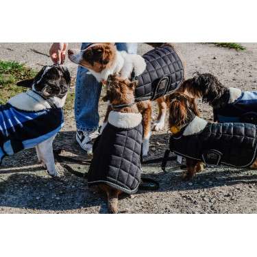 Hundedecke Equithème New Market Hundedecke Equithème New Market