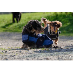 Hundedecke Equithème New Market Marine Marineblau
