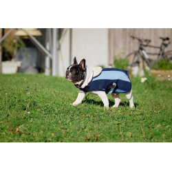 Hundedecke Equithème New Market Marine Marineblau