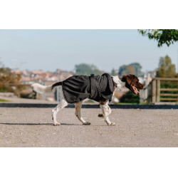 Hundedecke Equithème Softshell Schwarz
