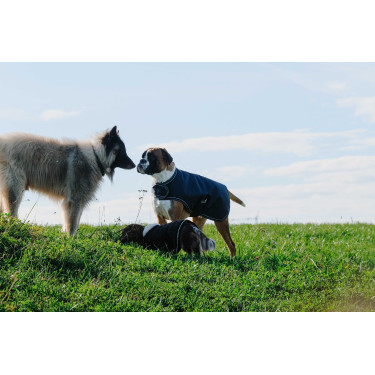 Hundedecke Equithème TYREX 600D Hundedecke Equithème TYREX 600D