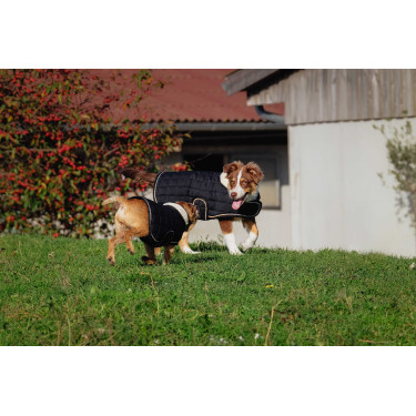 Hundedecke Ich liebe dich Equithème Hundedecke Ich liebe dich Equithème