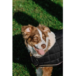 Hundedecke Ich liebe dich Equithème Schwarz Hundedecke Ich liebe dich Equithème Schwarz