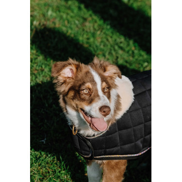Hundedecke Ich liebe dich Equithème Hundedecke Ich liebe dich Equithème