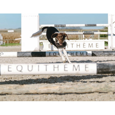 Hundedecke Ich liebe dich Equithème Hundedecke Ich liebe dich Equithème