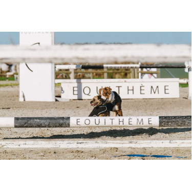 Hundedecke Ich liebe dich Equithème Hundedecke Ich liebe dich Equithème