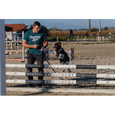 Hundedecke Ich liebe dich Equithème Hundedecke Ich liebe dich Equithème