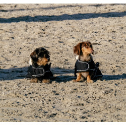 Hundedecke Ich liebe dich Equithème Schwarz