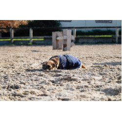 Fleece-Hundemantel Equithème Fleece-Hundemantel Equithème
