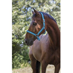 Genickstück Norton Fluo gefüttert Blau Genickstück Norton Fluo gefüttert Blau