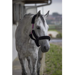 Norton Halfter Full synthetisches Lammfell Fuchsia / Schwarz Rosa