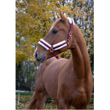 Norton Komfort Halfter Bordeaux