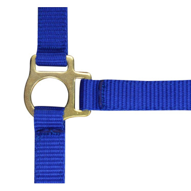 Nylon-Fohlenhalfter Königsblau Nylon-Fohlenhalfter Königsblau