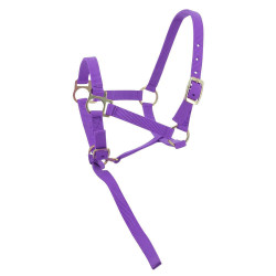 Nylon-Fohlenhalfter Nylon-Fohlenhalfter