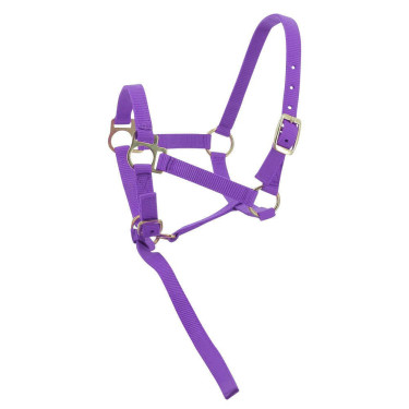 Nylon-Fohlenhalfter Nylon-Fohlenhalfter
