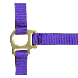 Nylon-Fohlenhalfter Nylon-Fohlenhalfter