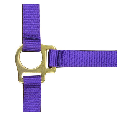 Nylon-Fohlenhalfter Nylon-Fohlenhalfter