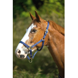 Nylonhalfter doppellagig mit Schnallenverschlüssen Norton Marineblau Nylonhalfter doppellagig mit Schnallenverschlüssen Norton Marineblau