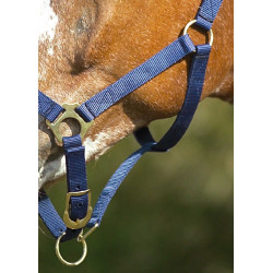 Nylonhalfter doppellagig mit Schnallenverschlüssen Norton Marineblau Nylonhalfter doppellagig mit Schnallenverschlüssen Norton Marineblau