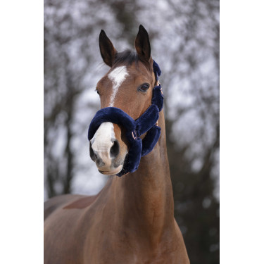 Halfter Equithème Teddy Roségold Marineblau Halfter Equithème Teddy Roségold Marineblau
