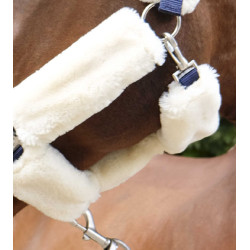 Halfter Equithème Teddy Marine / Ecru Blau