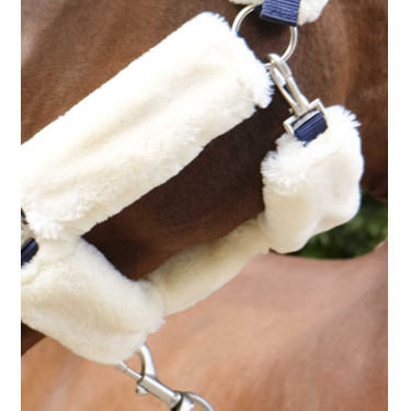 Halfter Equithème Teddy Marine / Ecru Blau