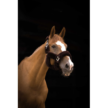 Halfter Equithème Teddy Schwarz / Braun