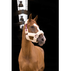 Halfter Equithème Teddy Bordeaux / Ecru
