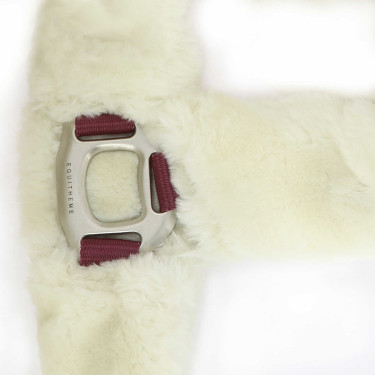Halfter Equithème Teddy Bordeaux / Ecru