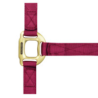 Halfter Equithème Nylon Bordeaux