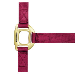 Halfter Equithème Nylon Bordeaux Halfter Equithème Nylon Bordeaux