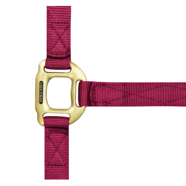 Halfter Equithème Nylon Bordeaux Halfter Equithème Nylon Bordeaux